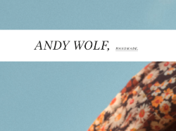 Logo von Andy Wolf