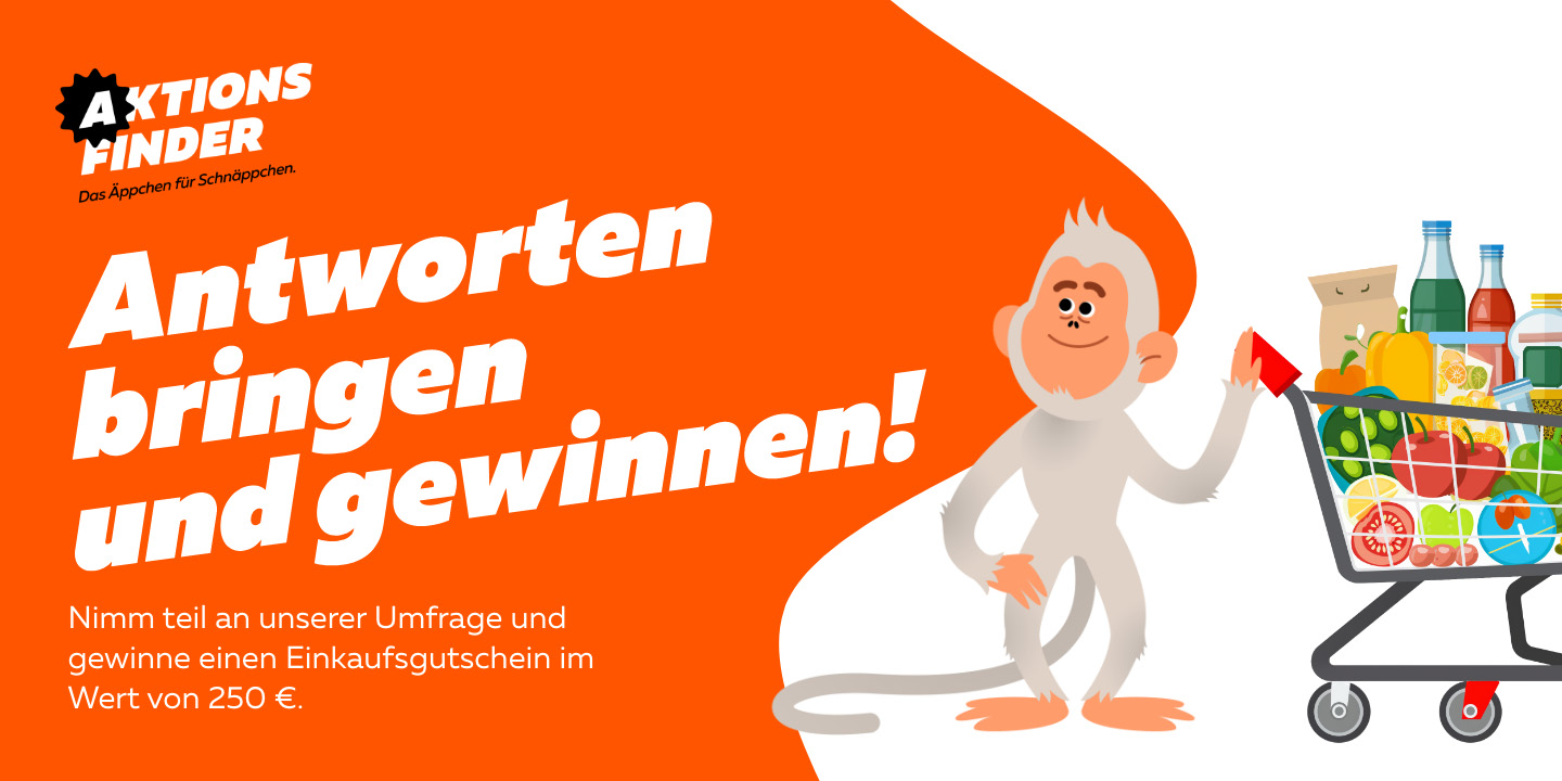 Nutzerinnernbegfragung 2025