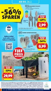 Titelbild des Prospekts von HOFER