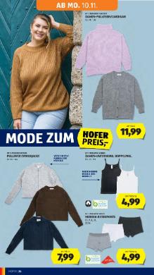 Titelbild des Prospekts von HOFER