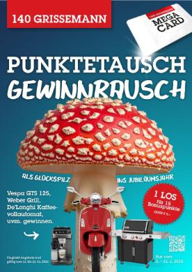 Titelbild des Prospekts von DER GRISSEMANN