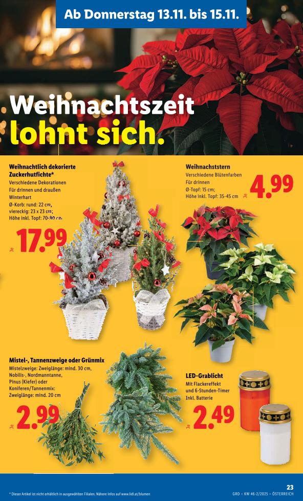 Prospekt von Lidl