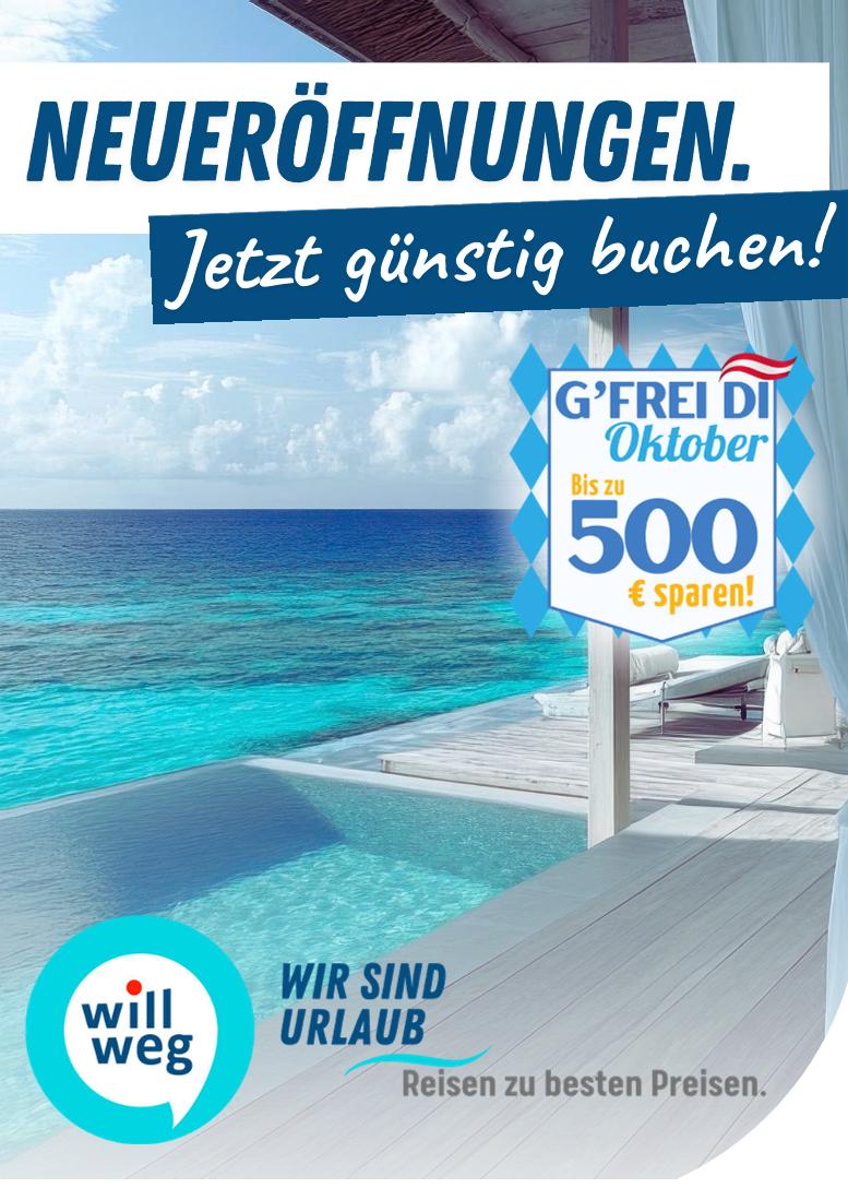 Prospekt von willweg.at