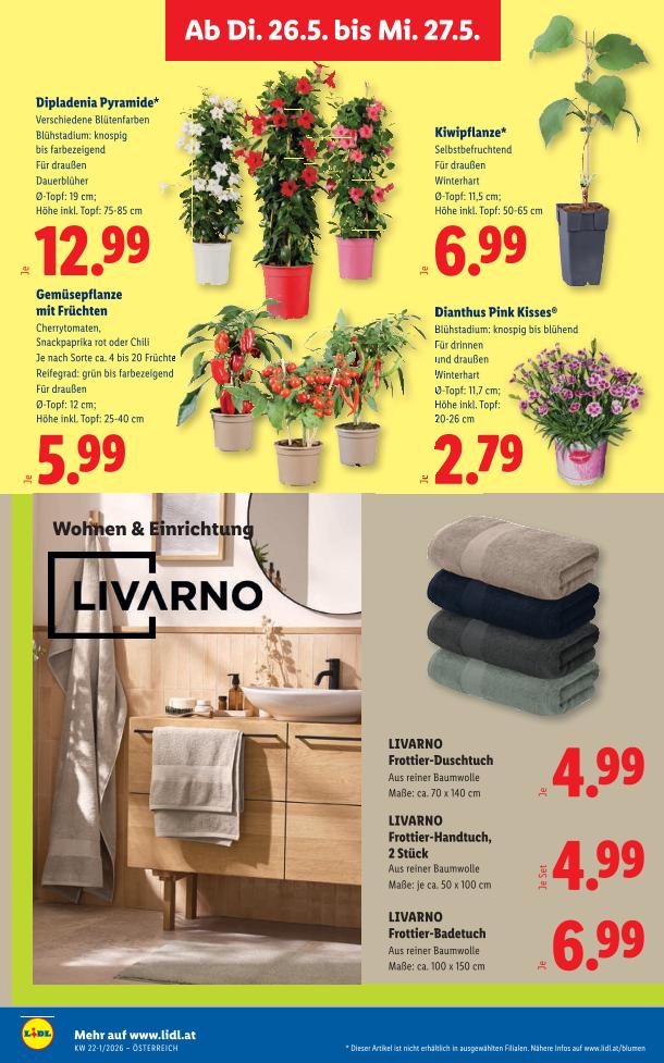 Prospekt von Lidl
