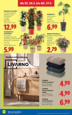 Titelbild des Prospekts von Lidl