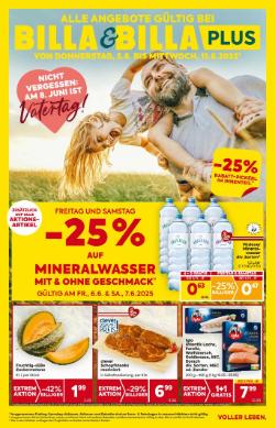 Titelbild des Prospekts von BILLA OOE