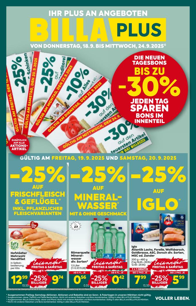 Prospekt von BILLA PLUS