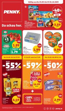 Prospekt von Penny