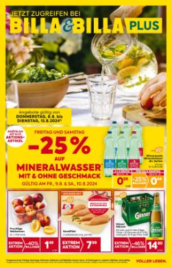 Titelbild des Prospekts von BILLA SBG