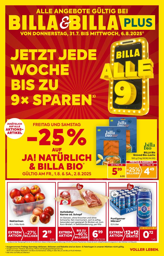 Prospekt von BILLA