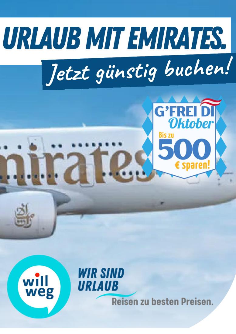 Prospekt von willweg.at