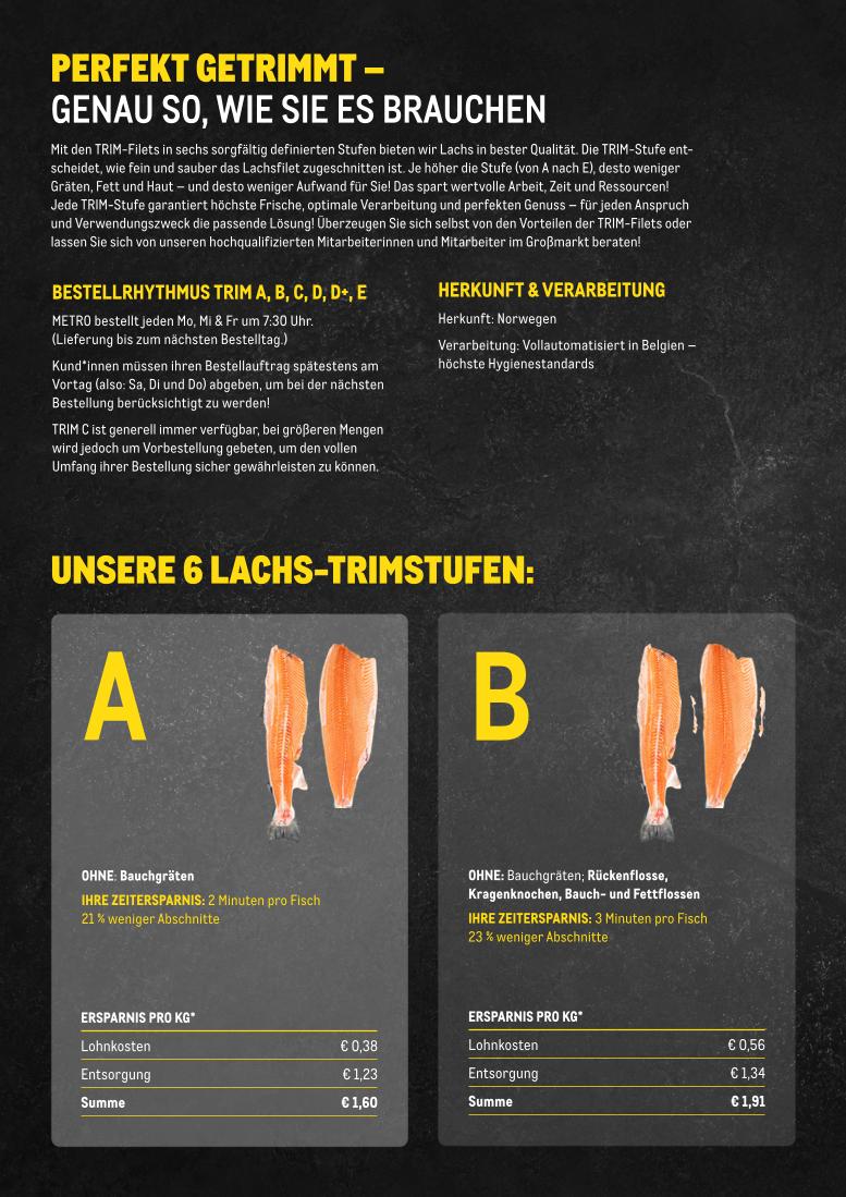Prospekt von METRO