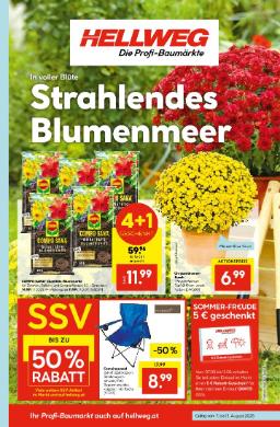 Titelbild des Prospekts von HELLWEG