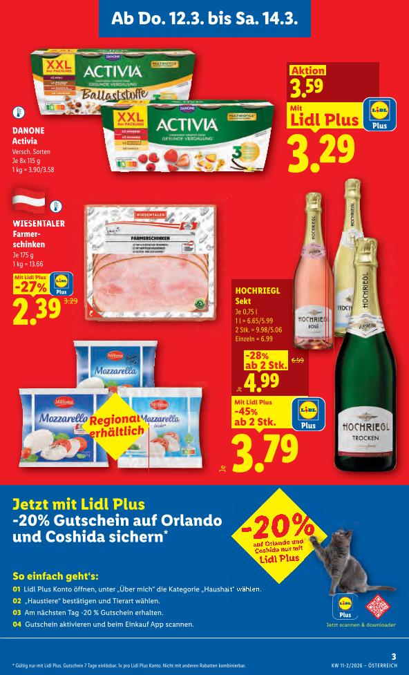 Prospekt von Lidl
