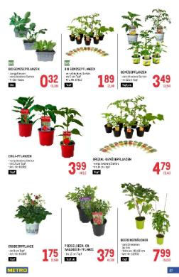 Titelbild des Prospekts von METRO GARTEN SPEZIAL