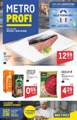 Titelbild des Prospekts von METRO PROFI