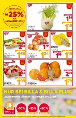 Titelbild des Prospekts von BILLA Wien