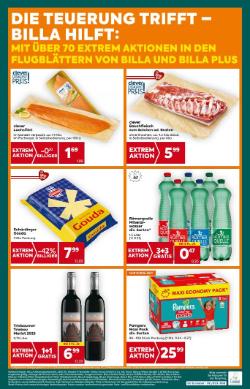 Titelbild des Prospekts von BILLA PLUS Wien