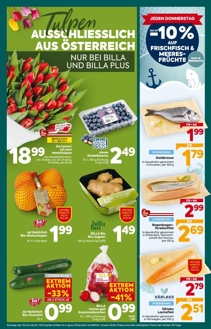 Prospekt von BILLA PLUS