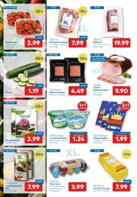 Titelbild des Prospekts von T&G Kärnten