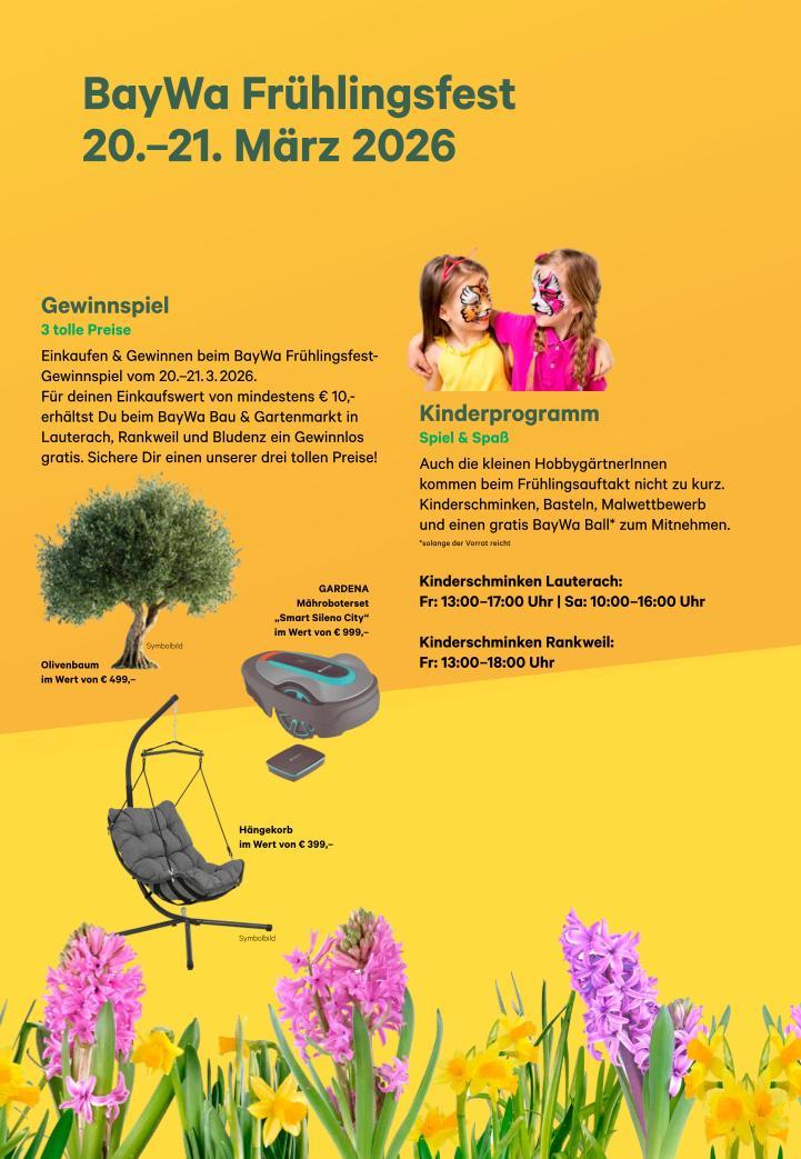 olivenbaum kroatien kaufen Olivenbaum kaufen | Olea europaea main image 0