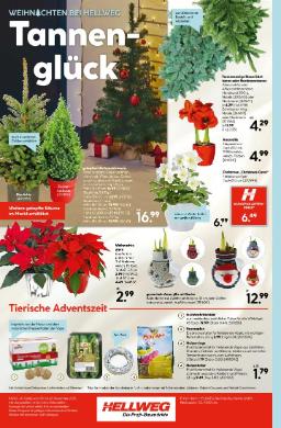 Titelbild des Prospekts von HELLWEG