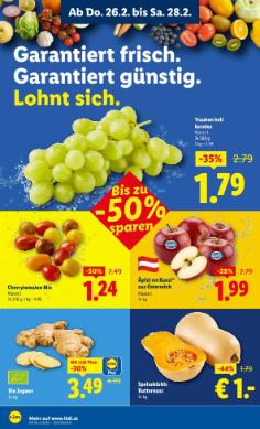 Titelbild des Prospekts von Lidl