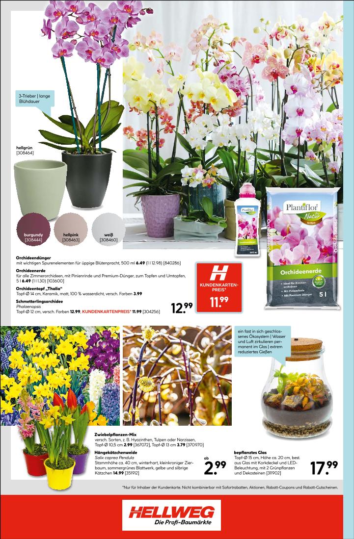 Prospekt von HELLWEG