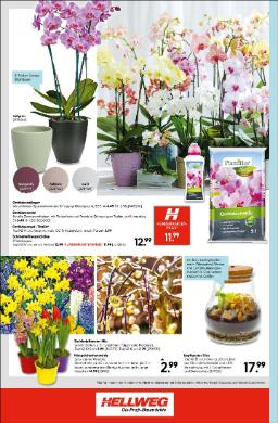 Titelbild des Prospekts von HELLWEG