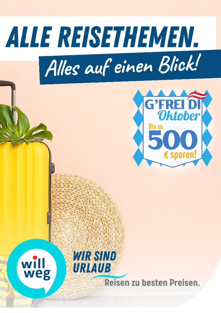 Prospekt von willweg.at