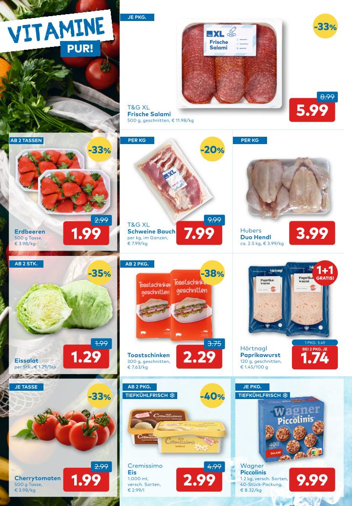Prospekt von T&G