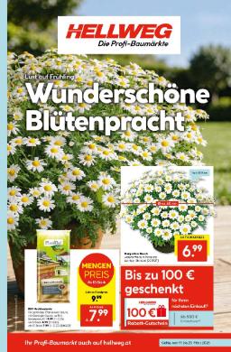 Titelbild des Prospekts von HELLWEG