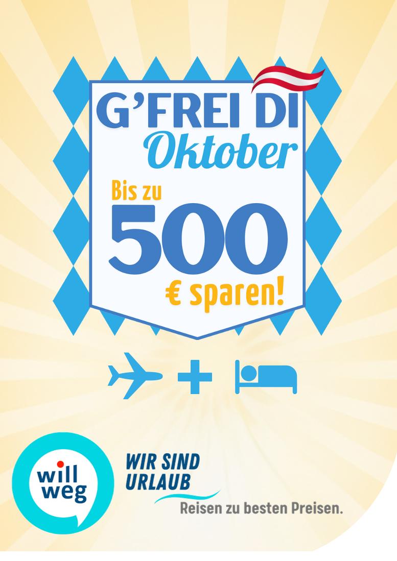 Prospekt von willweg.at