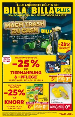 Titelbild des Prospekts von BILLA STMK