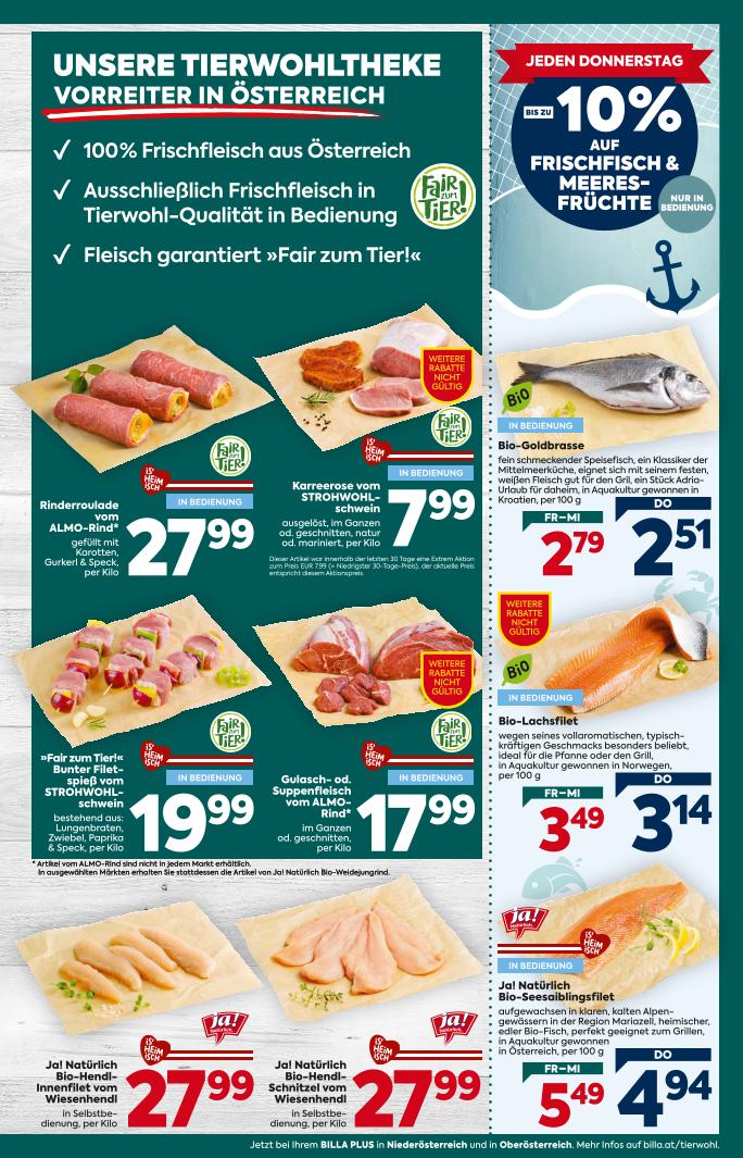 Prospekt von BILLA PLUS