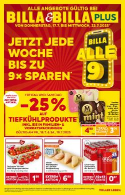 Titelbild des Prospekts von BILLA TIROL