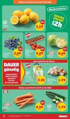 Titelbild des Prospekts von Penny