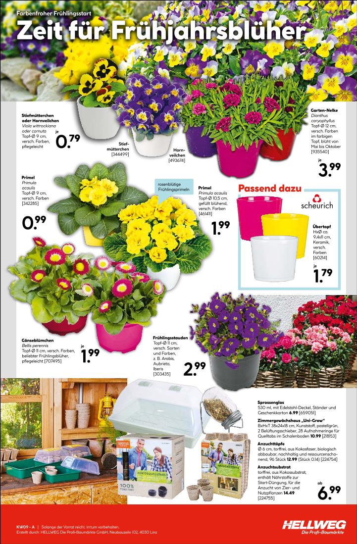 Prospekt von HELLWEG