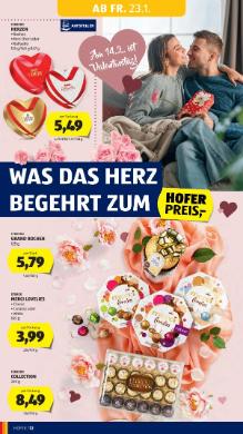 Titelbild des Prospekts von HOFER