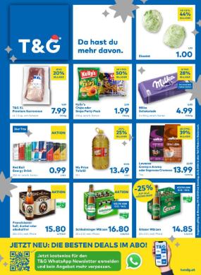 Titelbild des Prospekts von T&G STMK
