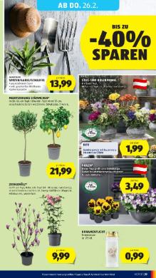 Titelbild des Prospekts von HOFER