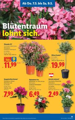 Titelbild des Prospekts von Lidl