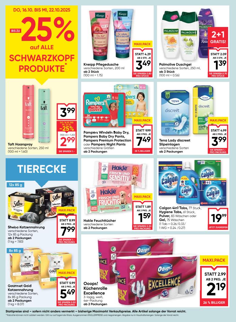 Prospekt von Maximarkt