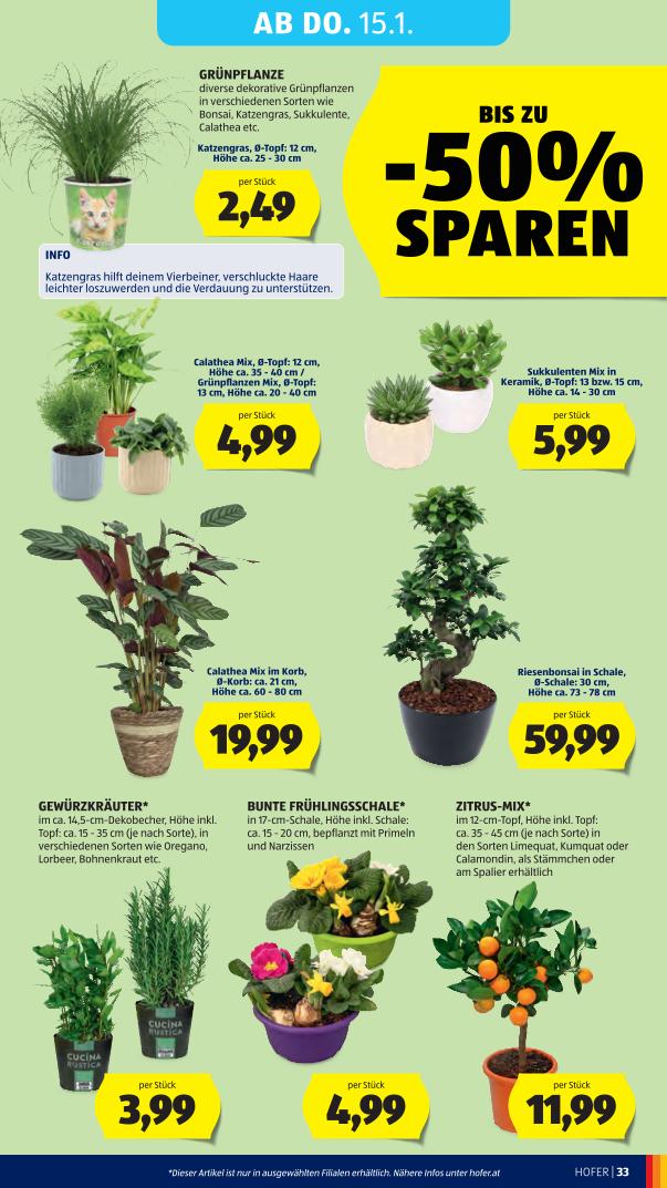 Prospekt von HOFER