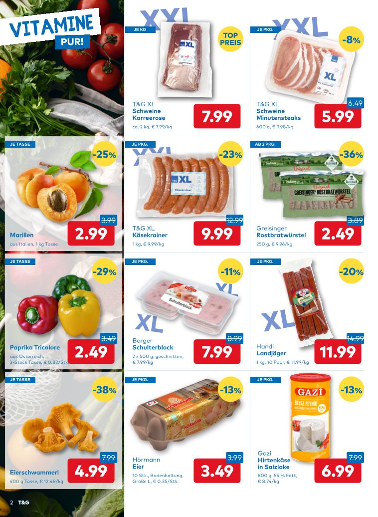 Prospekt von T&G