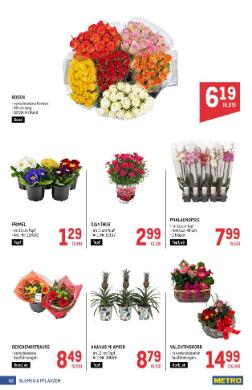 Titelbild des Prospekts von METRO PROFI