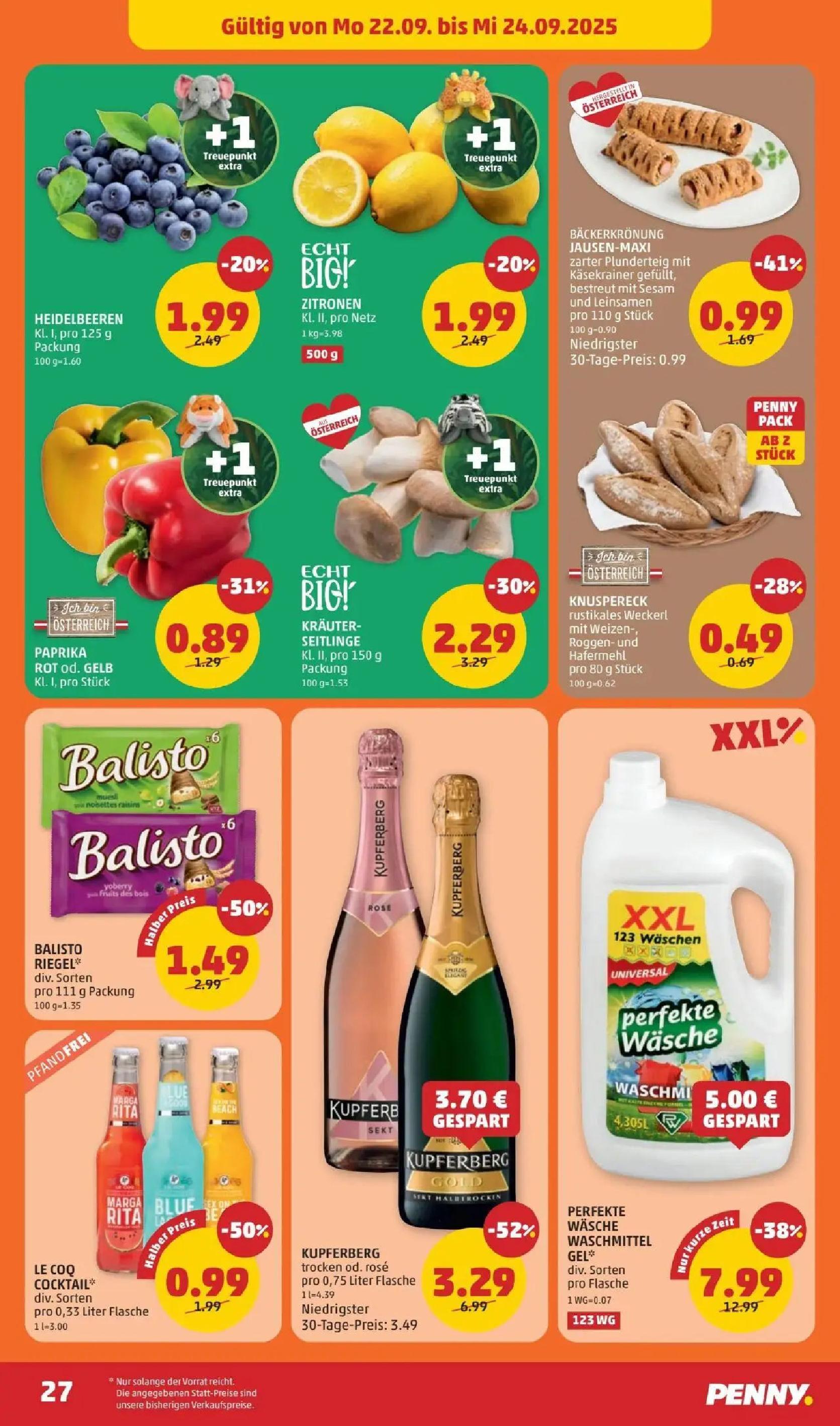 Prospekt von Penny