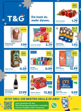 Titelbild des Prospekts von T&G KTN