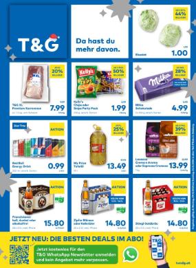 Titelbild des Prospekts von T&G SBG