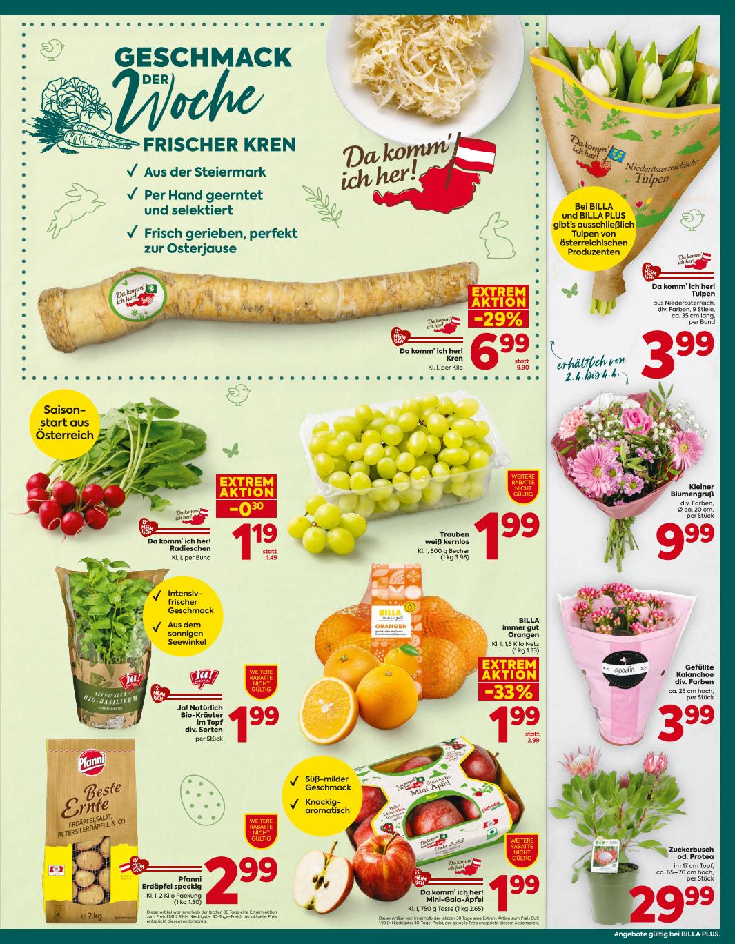 Prospekt von BILLA PLUS